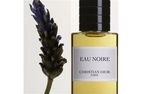 dior eau noire discontinued|Dior reissues 2022.